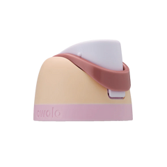 Replacement Lids