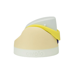 Replacement Lids