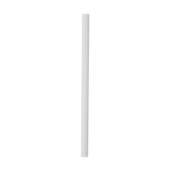 Replacement Straws